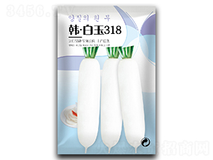 �n������318-���}���N��-�����_