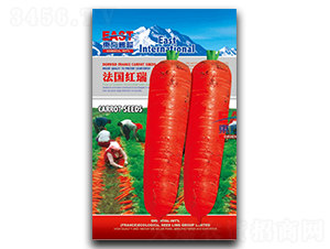 �����t��-���}���N��-�����_