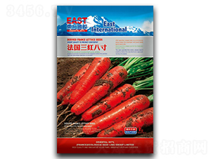 �������t�˴�-���}���N��-�����_