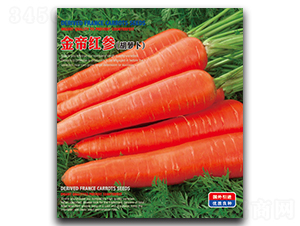 ��ۼt�����ޣ�-���}���N��-�����_