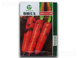 ����t��-���}���N��-�����_