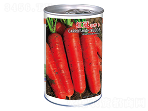 �t�ڣ��ޣ�-���}���N��-�����_