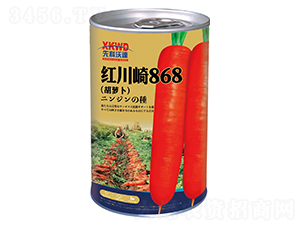 �t����868���ޣ�-���}���N��-�����_