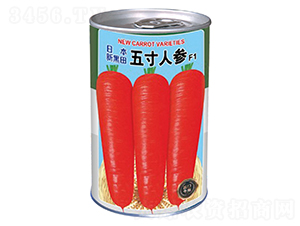 �ձ��º�������˅����ޣ�-���}���N��-�����_