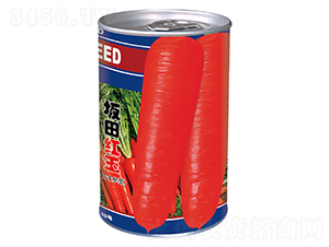 ����t�񣨹ޣ�-���}���N��-�����_