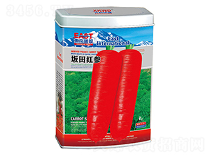 ����t�����ޣ�-���}���N��-�����_