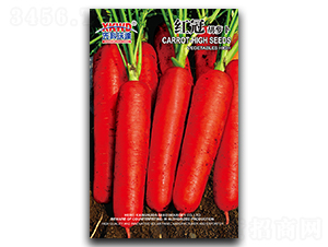 �t��-���}���N��-�����_