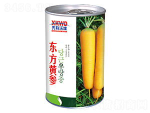 �|���S�����ޣ�-���}���N��-�����_