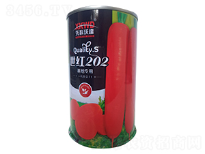 ���t202���ޣ�-���}���N��-�����_