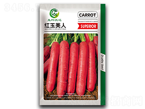 �t������-���}���N��-�����_