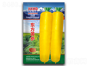 東方黃參-胡蘿卜種子-祥瑞達