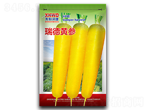 ����S��-���}���N��-�����_