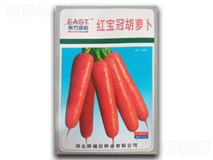 �t���ں��}��-���}���N��-�����_