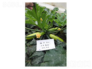 ���S508-�����J�N��-����r�I