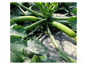 ����303-�����J�N��-����r�I