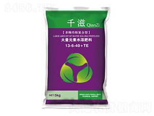 ��ø���܏ͺ��ʹ���Ԫ��ˮ�ܷ�13-6-40+TE-ǧ��-�A�����r