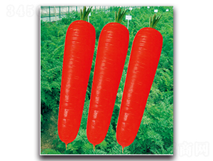 ��t��̖-�}���N��-�����r(n��ng)