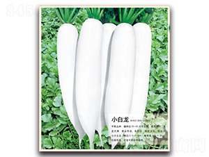 С����-�}���N��-�����r