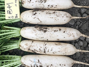 ����-�}���N��-�����r(n��ng)