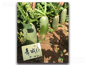 ��Ǵ��̖(h��o)-�}���N��-�����r(n��ng)