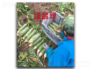 �G���-�}���N��-�����r(n��ng)