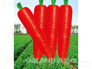 �|�(y��ng)����-���}���N��-�W�m��