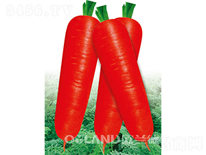 �|�(y��ng)7��-���}���N��-�W�m��