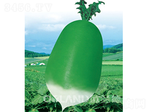 ����(j��)������-�}���N��-�W�m��