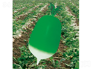 ����(j��)�G����-�}���N��-�W�m��