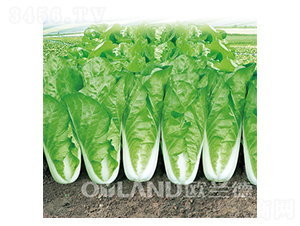 �r��22��-��˷N��-�W�m��