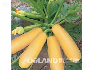 �W����ֶ�-�����J�N��-�W�m��