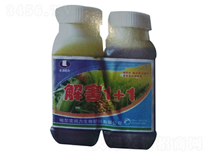 �⺦1+1-����