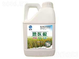 ���t��-����