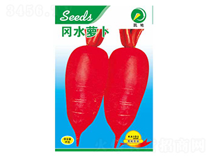 ��ˮ�}��-�}���N��-�P���r�I