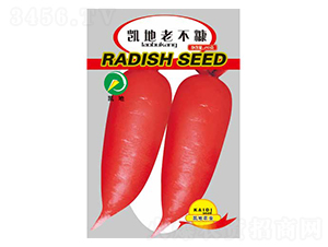 �P���ϲ���-�}���N��-�P���r�I