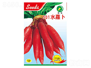 501ˮ�}��-�}���N��-�P���r�I