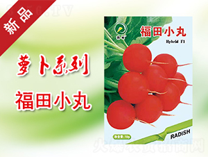 ����С��-�}���N��-�P���r�I