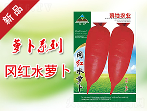 ���tˮ�}��-�}���N��-�P���r�I