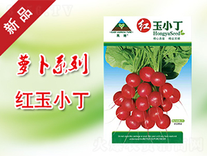 �t��С��-�}���N��-�P���r�I