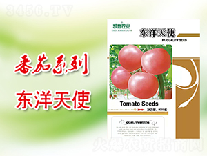 �|����ʹ-���ѷN��-�P���r(n��ng)�I(y��)