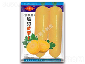 �����S�}��-�}���N��-�����N�I