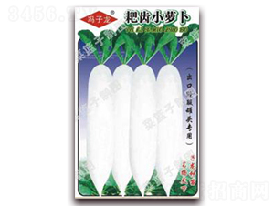 ���XС�}��-�}���N��-�����N�I