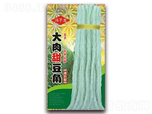 大肉甜豆角-豆角種子-子龍種業