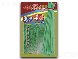 �K��4̖�����L����-���ǷN��-�����N�I