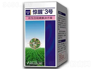 �����׽�����Q����-�@��3̖-����r�I