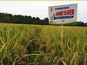 ����(y��u)518-ˮ���N��-�һ�Դ