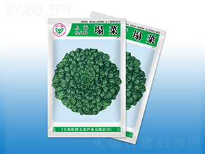 �Ϻ�С���~����-���˷N��-�����N�I