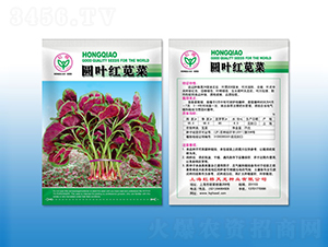 �A�~�t�{��-�{�˷N��-�����N�I