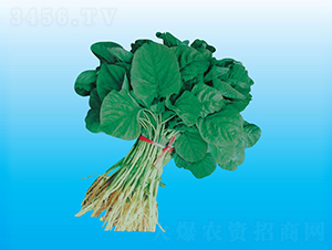 �_�����{��-�{�˷N��-�����N�I