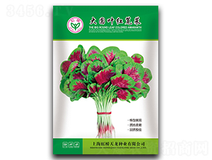 ��A�~�t�{��-�{�˷N��-�����N�I